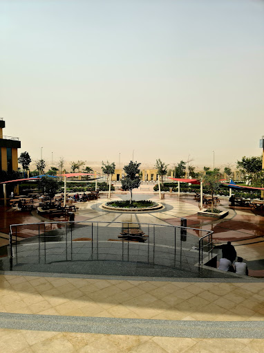 Badr University (BUC) — 3