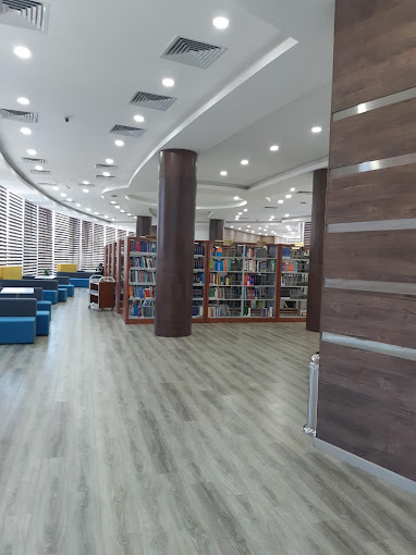 Badr University (BUC) — 8