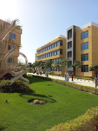 Badr University (BUC) — 9