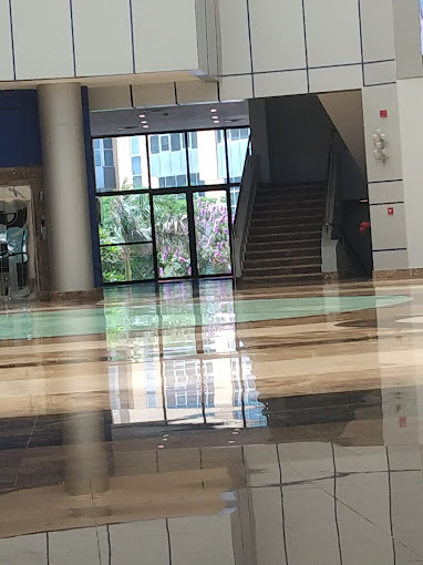 Badr University (BUC) — 13