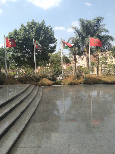 Badr University (BUC) — 14