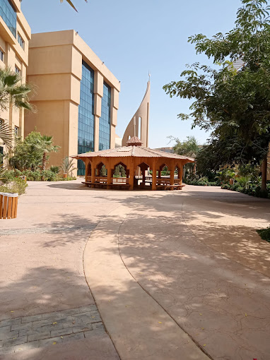 Badr University (BUC) — 15