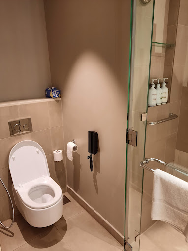 Holiday Inn Hotel Dubai Festival City — 7
