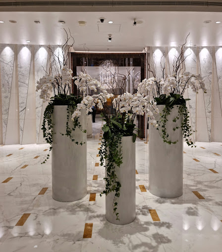 Shangri-La — 13