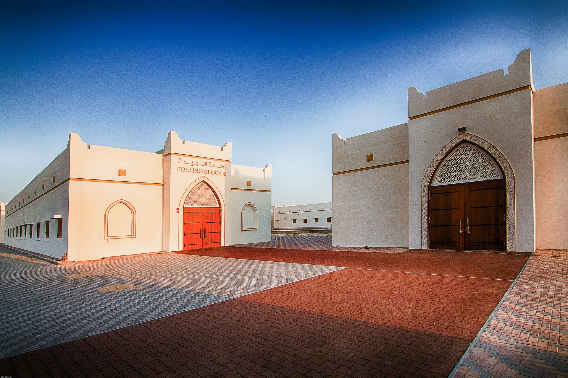 Al Zobara Breeding Farm, Qatar – El Alfy Co.